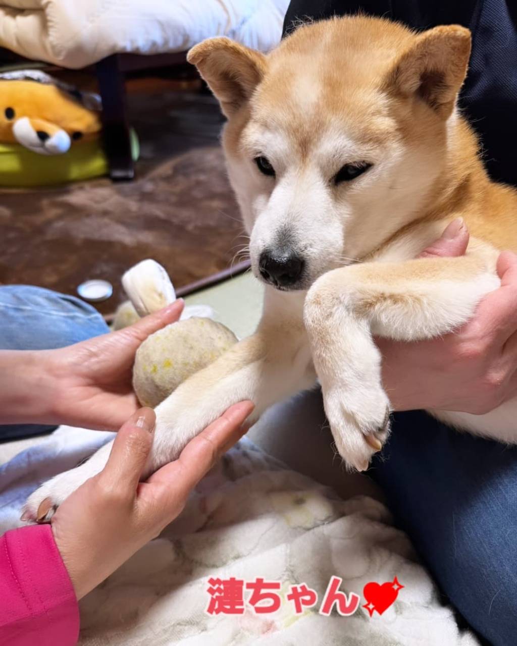 川西市.ハーブ温灸マッサージ行って来ました(*^^*)