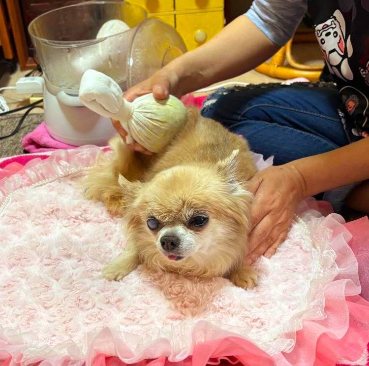 ミラクル犬.ハーブ温灸ドッグマッサージ(^o^)