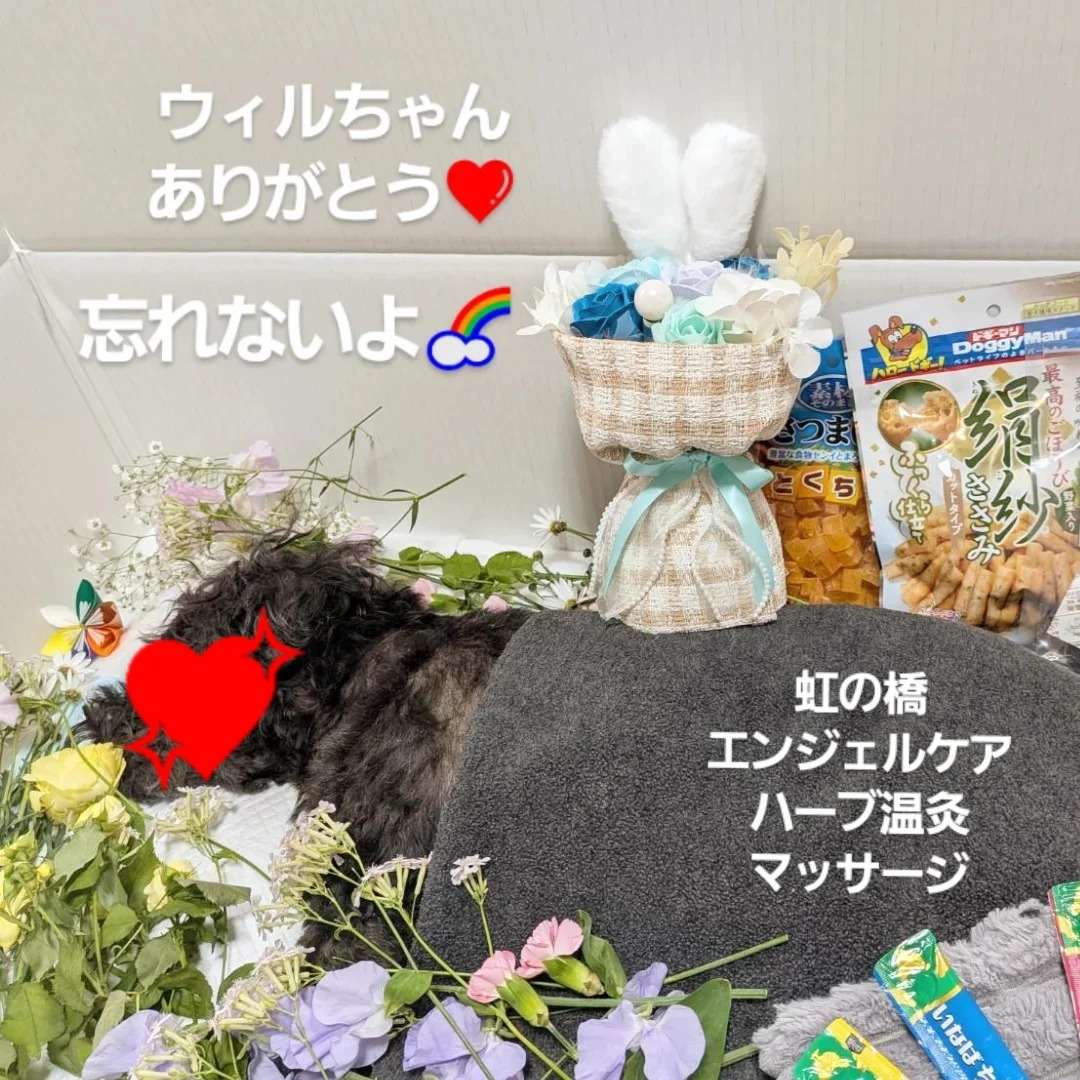 虹の橋エンジェルケア.ハーブ温灸